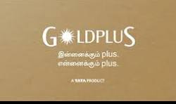 GOLD PLUS
